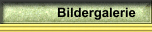 Bildergalerie